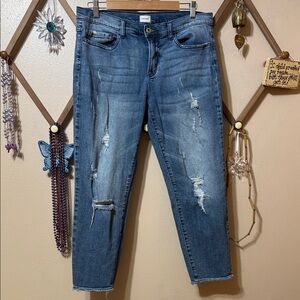 Sneak Peek Classic Sexy Boyfriend Jeans